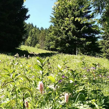 Eco-bivouac Evian Lodge *